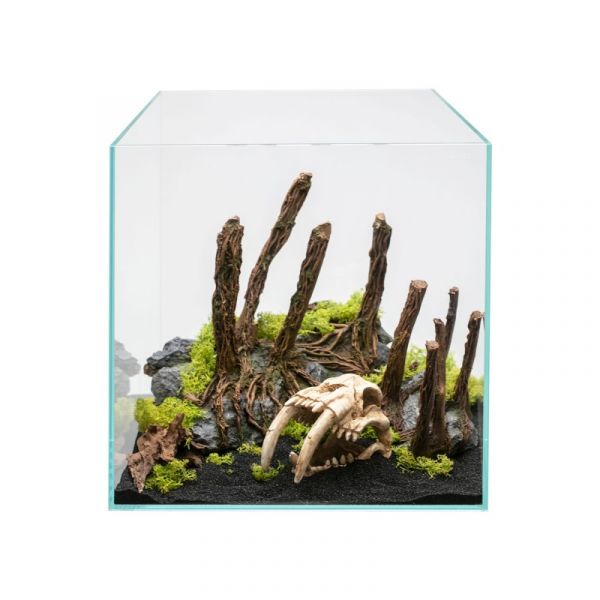 Aqpet Decorart Decorazioni Per Acquari Mod. Bare Roots