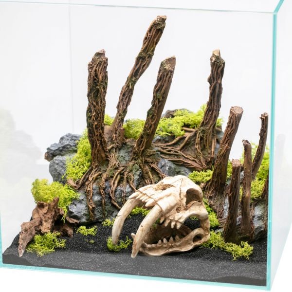Aqpet Decorart Decorazioni Per Acquari Mod. Bare Roots
