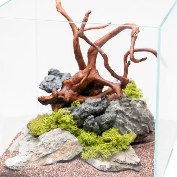 AQPET DECORART DECORI PER ACQUARI MOD. RED ROOTS