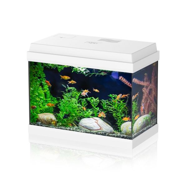 Aqpet Simply LED 30 Acquario Completo Con Illuminazione Led, Filtro E Cover Apribile Colore Bianco 30L