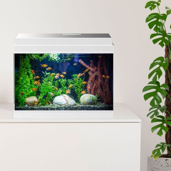 Aqpet Simply LED 30 Acquario Completo Con Illuminazione Led, Filtro E Cover Apribile Colore Bianco 30L