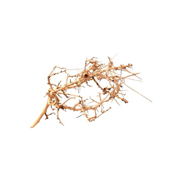 AQPet Tiny Wood Decorativo in Legno M