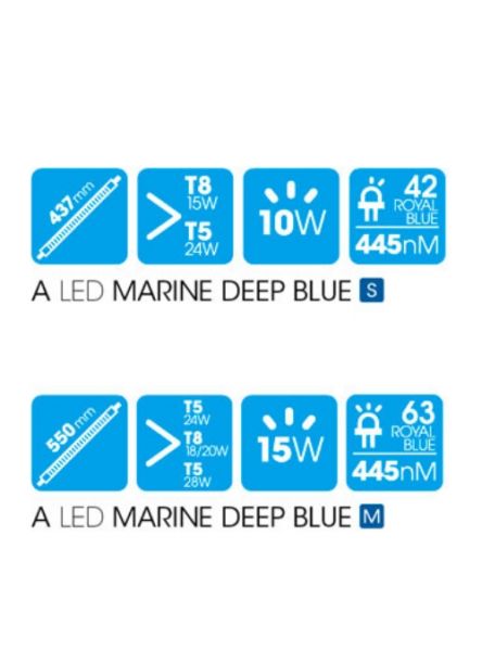 Askoll A Led Marine Deep Blue Led Acqua Marina
