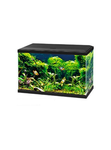 Ciano Aqua 60 Led Plus BioFilter Acquario-Nero