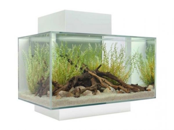 Askoll Fluval Edge 2.0 23 L Acquario-Bianco