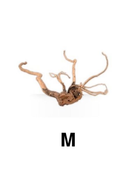 Askoll Pure Ornaments Wood M