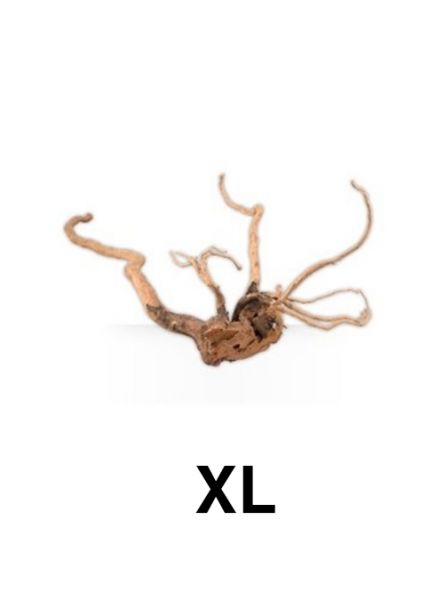Askoll Pure Ornaments Wood XL