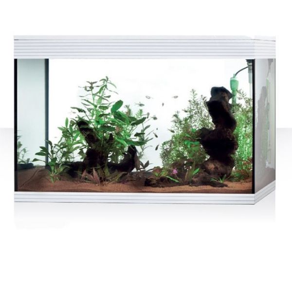 Askoll Pure Led XL HC  Acquario-Bianco