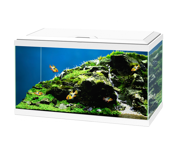 Ciano Aqua 60 Led Plus BioFilter Acquario-Bianco