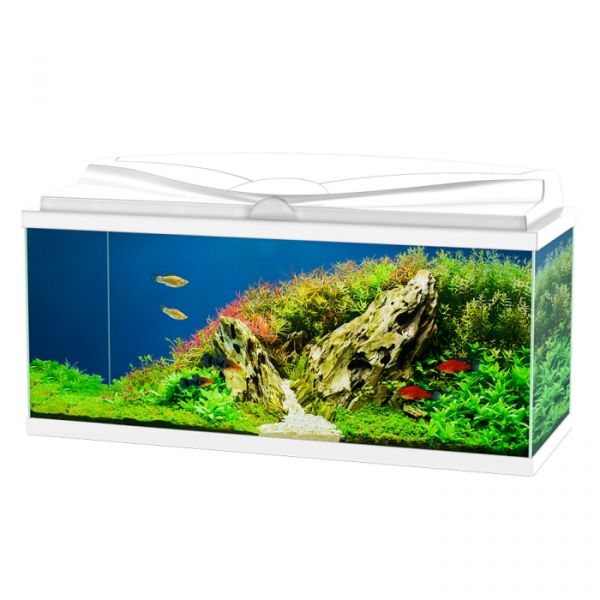 Ciano Aqua 80 Led BioFilter Bianco
