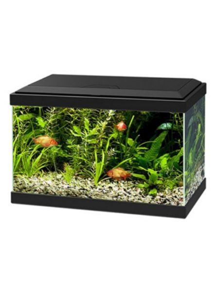 Ciano Aqua Light 20 Led Nero