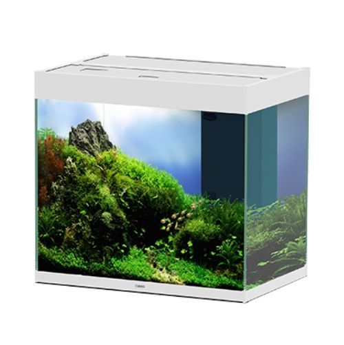 Ciano Emotions Nature Pro 60 BioFilter Bianco