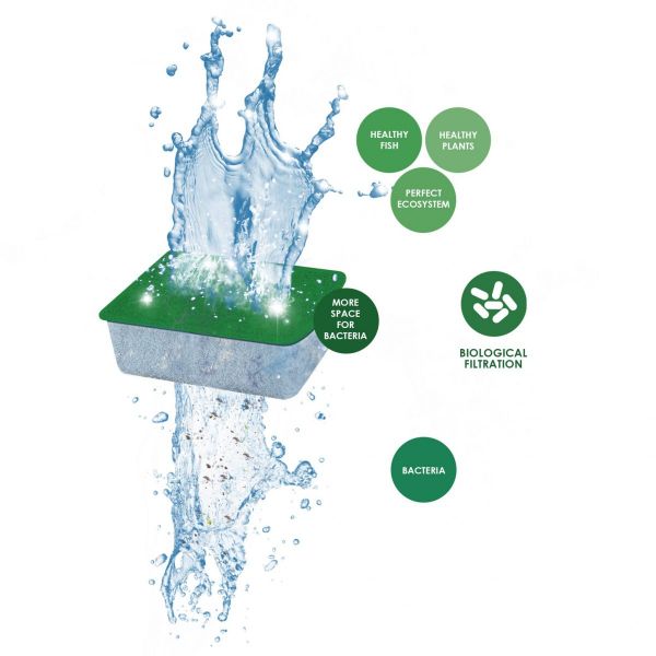 Ciano Water Bio-Bact S