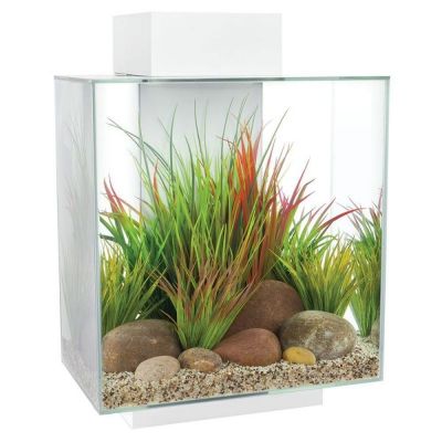 Askoll Fluval Edge 2.0 46 L Acquario-Bianco