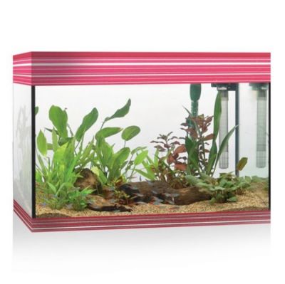 Askoll Pure Led L Acquario-Rosso