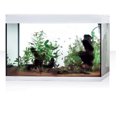Askoll Pure Led XL HC  Acquario-Bianco