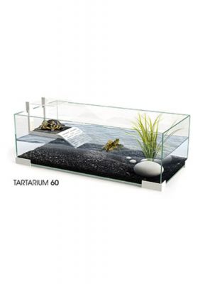 Ciano Tartarium 60 Tartarughiera in Vetro