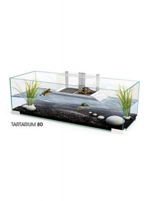 Ciano Tartarium 80 Tartarughiera in Vetro