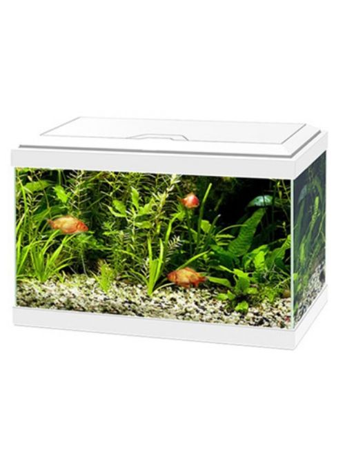 Ciano led light discount
