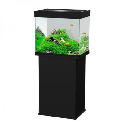 Ciano Stand Emotions Nature Pro 60-Nero