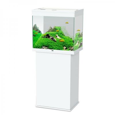 Ciano Stand Emotions Nature Pro 60-Bianco