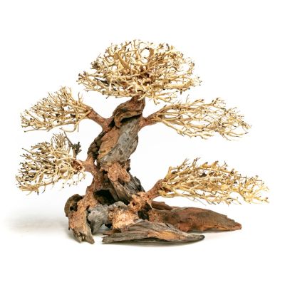 Aqpet Zen Bonsai wood 100% naturali