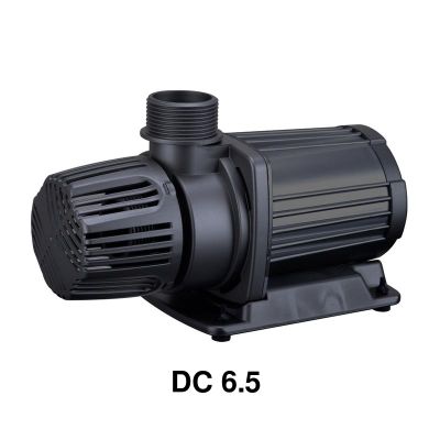 AQPet Neptune DC 6.5 Pompa di Risalita