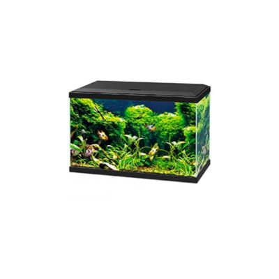 Ciano Aqua 60 Led Plus BioFilter Acquario-Nero
