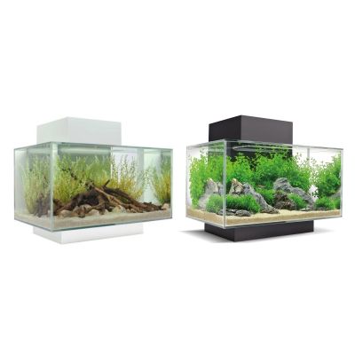 Askoll Fluval Edge 2.0 23 L Acquario