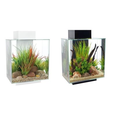 Askoll Fluval Edge 2.0 46 L Acquario