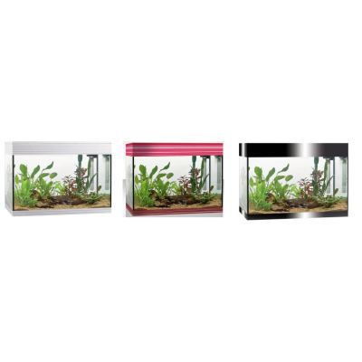 Askoll Pure Led L Acquario