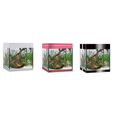 Askoll Pure Led M Acquario