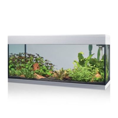 Askoll Pure Led XL Acquario-Bianco
