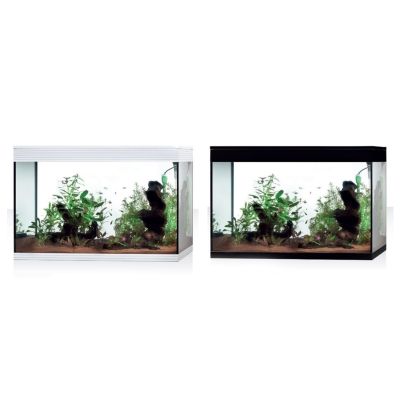 Askoll Pure Led XL HC Acquario