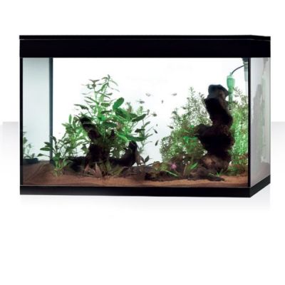 Askoll Pure Led XL HC Acquario-Nero