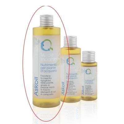 Askoll Verde Incanto 270 ml