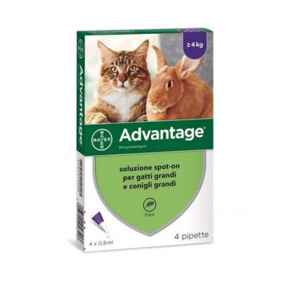 Bayer Gatto Advantage 80 4 Pipette