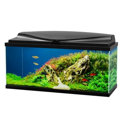Ciano Aqua 80 Led BioFilter Nero