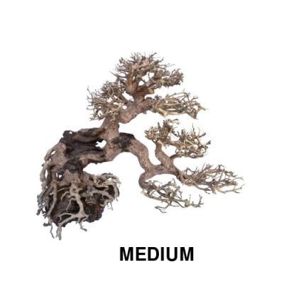 Croci Legno Oriental Wind 7 M