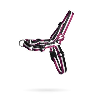 Dashi Front Harness Pettorina per cane modello STRIPES Purple e Black medium
