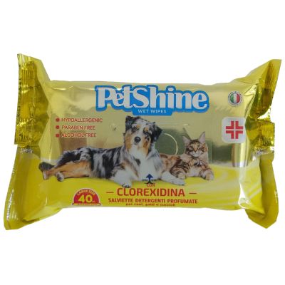 Also Salviette Detergenti Profumate Clorexidina 40 PZ